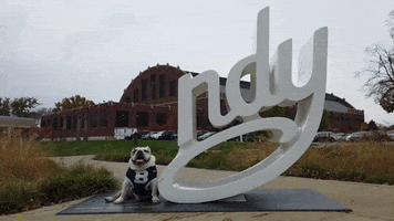Indiana University Trip GIF by Butler University