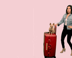 Luggage GIF by Jen Atkin