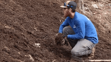 Grading Yard Work GIF by JC Property Professionals