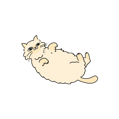 Cats Sticker