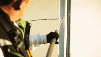 TAFF by WANDWERK GIF