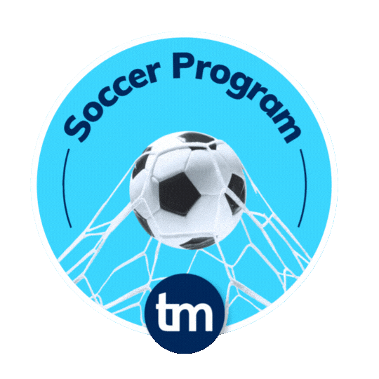 Soccer Tm Sticker by TravelMate Intercâmbio