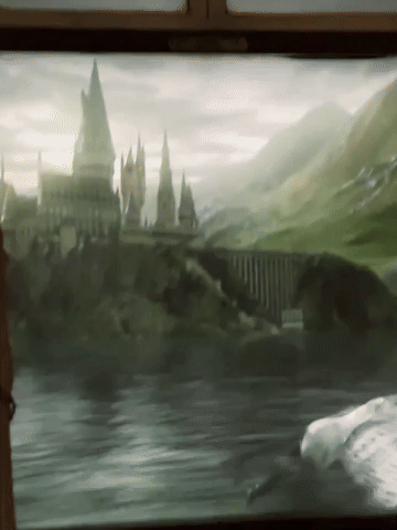 Harry Potter GIF