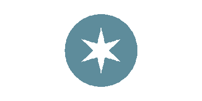 Humboldt Park Star Sticker by missiodeichicago