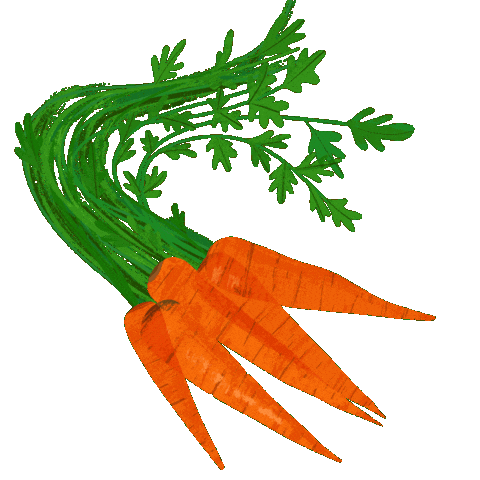Vegetable Carrots Sticker by Erstwilder