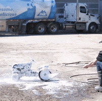 Schippers Canada GIF