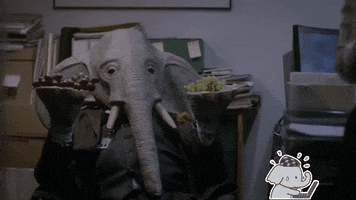 VFSF GIF