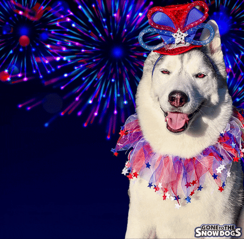 Independence Day GIF by Gone to the Snow Dogs