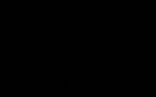 Speed Wifi GIF by Sonic