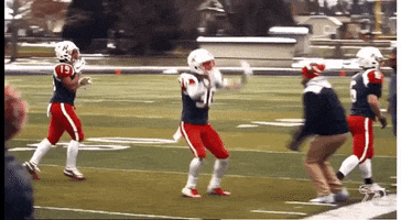 Red Hawks Yes GIF by Ripon College