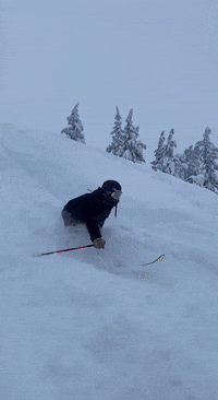 Snow-fail GIFs - Get the best GIF on GIPHY
