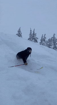 Snow-fail GIFs - Get the best GIF on GIPHY Snow-fail GIFs - Get the best GIF on GIPHY