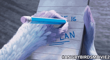 noplan GIF by Angry Birds Movie