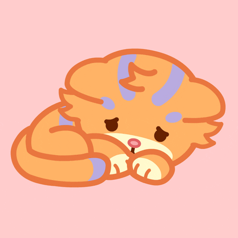 Cat Crying GIF by Molang
