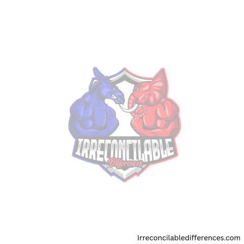 Frustrated Vote GIF by Irreconcilable Differences