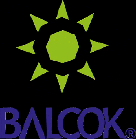BALCOK travel reisen saudiarabia orient GIF