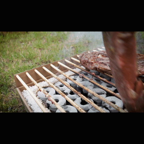 Grill GIF