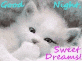 Sweet Dreams GIF by memecandy