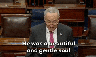 Policing Chuck Schumer GIF by GIPHY News