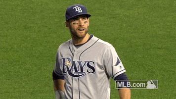 tampa bay rays laughing GIF by MLB
