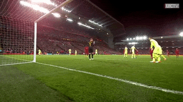 champions league football GIF by Liverpool FC