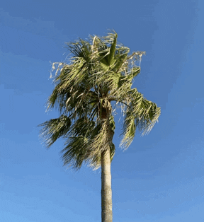 urlaubsdeals24 GIF