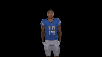 Look Up St Brown GIF by Detroit Lions