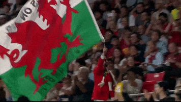 World Cup Running GIF by World Rugby