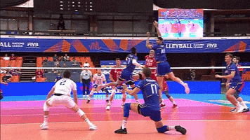 Save France GIF by Volleyball World