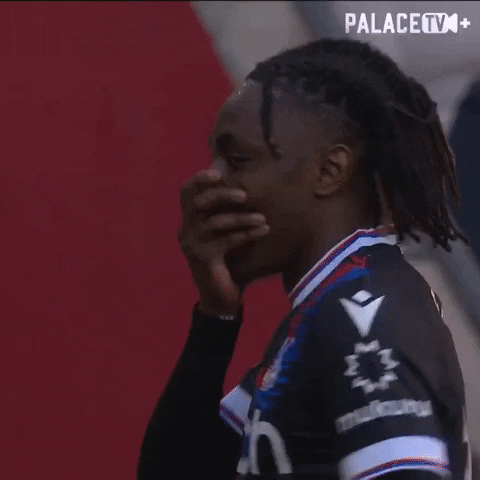 Premier League Oops GIF by Crystal Palace Football Club