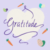 Attitude Of Gratitude 