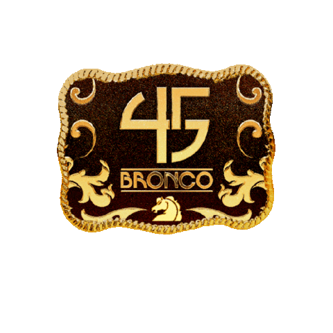 Lupeesparza Sticker by Grupo Bronco