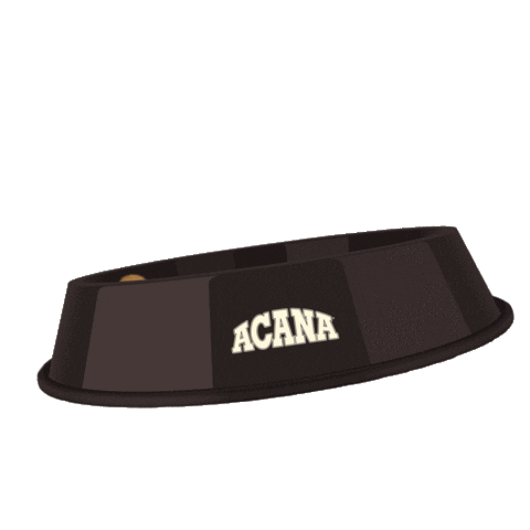 ChampionPetfoods_Benelux Sticker