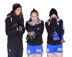 Winter Handball Sticker by ATSV Habenhausen