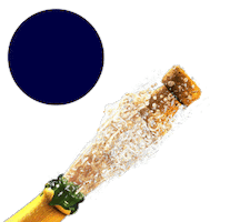 Newyear Sticker by HELE Group