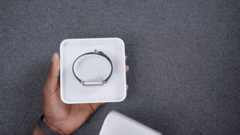 The look of the first Apple Watch