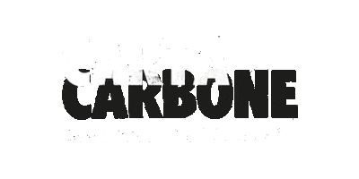 Festival Book Sticker by CartaCarbone