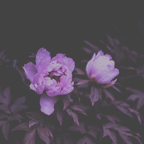 Venture Students GIF