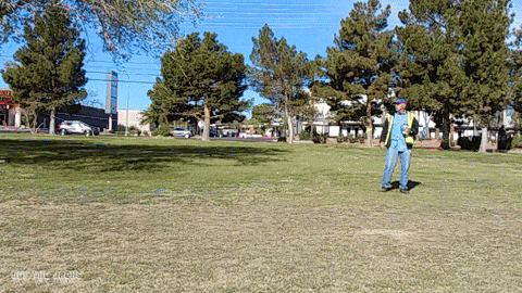 giphy.gif?cid=82a1493bf3a11e41cd4121a55a
