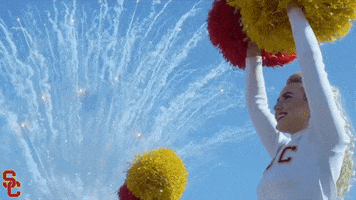 Football Fight On GIF by USC Trojans