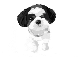 Dog GIF