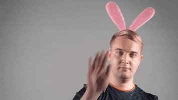 Dance Bunny GIF by Rogue