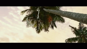 danyboys  GIF