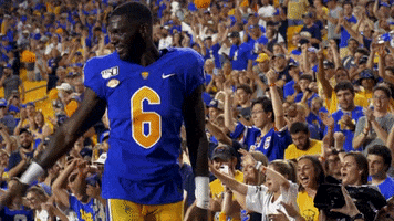 College Football Yes GIF by Pitt Panthers