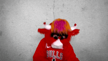 Lets Go Sport GIF by Chicago Bulls