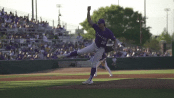 Strike Out Baton Rouge GIF by LSU Tigers
