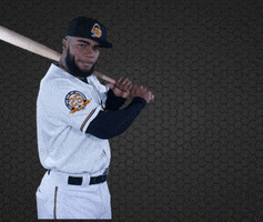 Luis Rengifo Baseball GIF by Salt Lake Bees