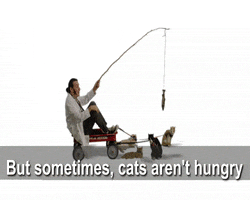 Community GIF