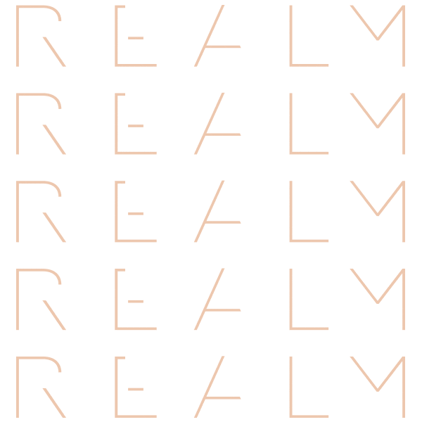 RealmDenver Sticker