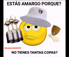 Sao Paulo Corinthians GIF